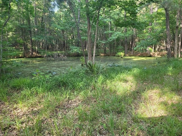 Listing photo 3 for 24831 River Terrace Rd, Huffman TX 77336