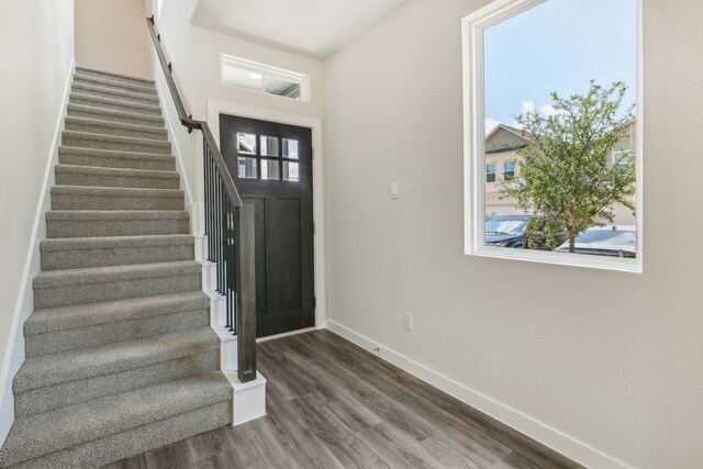 foyer entrance featuring a wealth of natural light and dark wood-type flooring