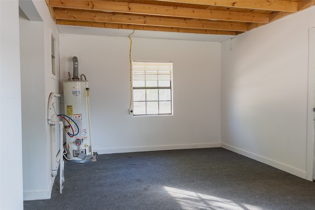 interior space featuring gas water heater