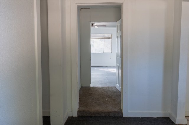 hall featuring carpet floors