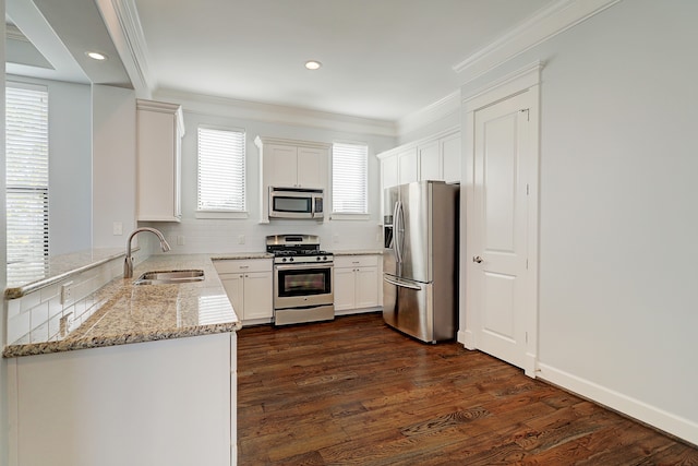 kitchen with a healthy amount of sunlight, stainless steel appliances, and sink