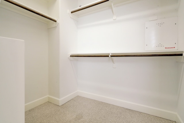 walk in closet with carpet floors