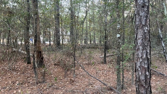 0 Stagecoach Cir, Huntsville TX, 77340 land for sale