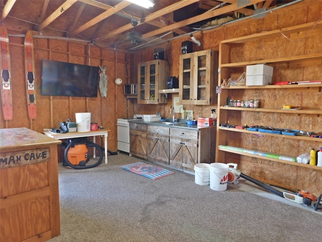 miscellaneous room with carpet and sink