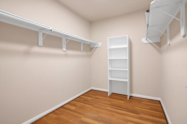 spacious closet featuring hardwood / wood-style floors