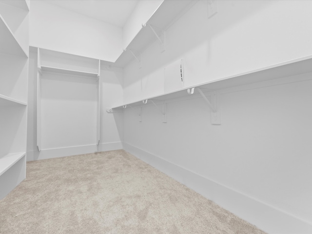 spacious closet featuring light carpet