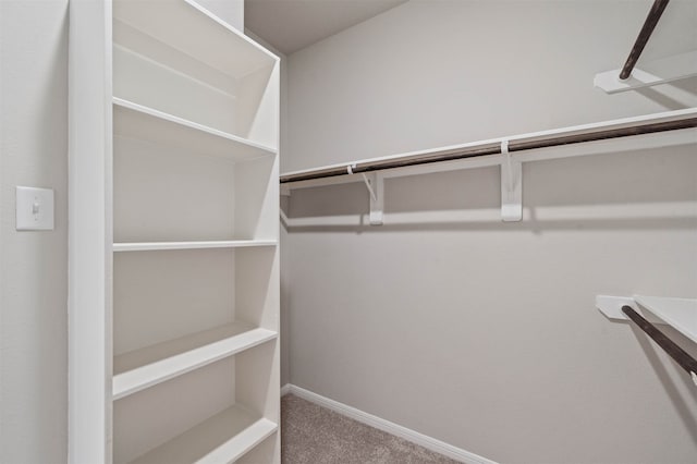 spacious closet featuring carpet flooring