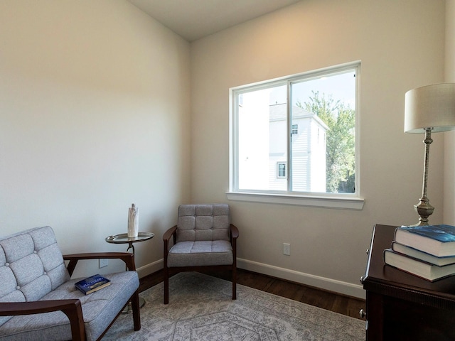 sitting room featuring dark wood-type flooring