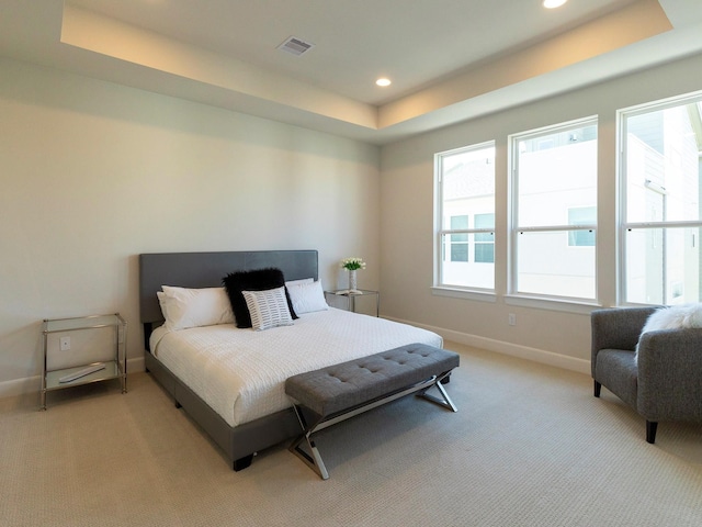 carpeted bedroom featuring a raised ceiling