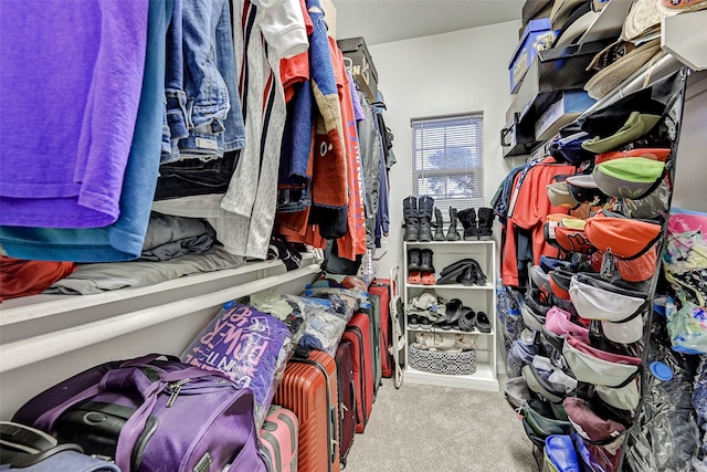 spacious closet with carpet floors