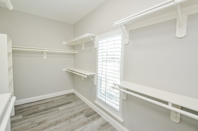 spacious closet with hardwood / wood-style flooring