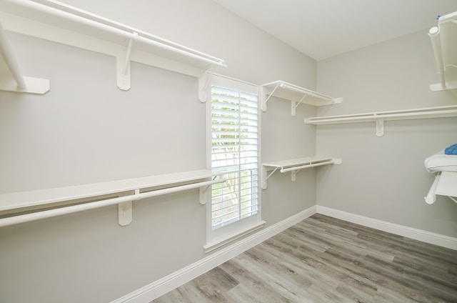 spacious closet with wood-type flooring