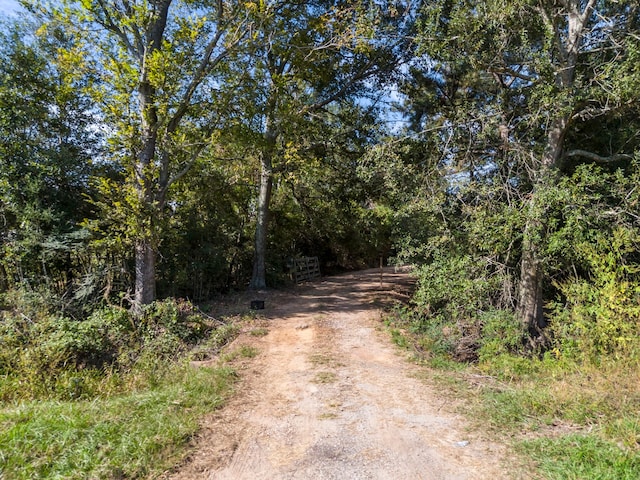 view of road