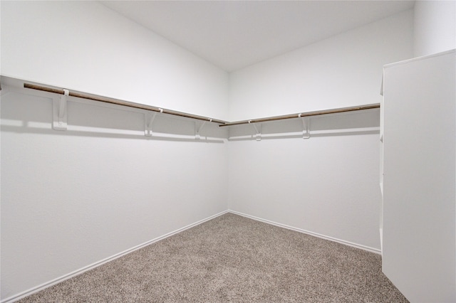 spacious closet with carpet