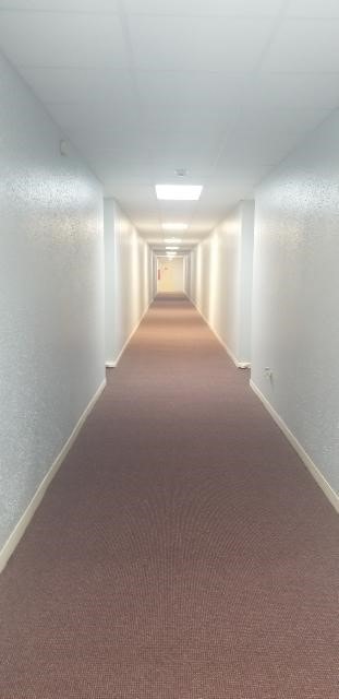 hall with carpet floors