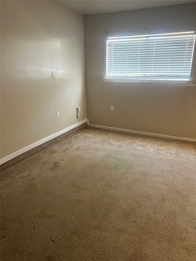 unfurnished room with carpet