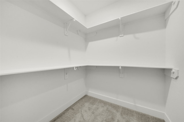 spacious closet with light colored carpet