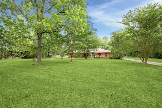 1631 Gault Rd, Houston, TX 77039 - view of yard