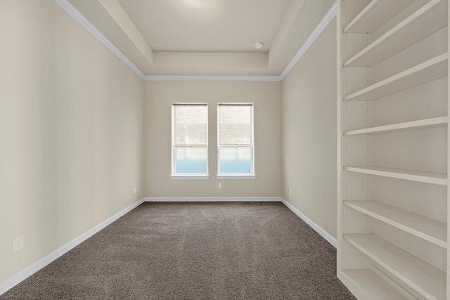 carpeted spare room with ornamental molding and a tray ceiling