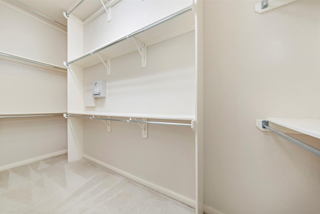 spacious closet with light carpet