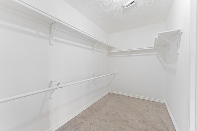 walk in closet with light colored carpet