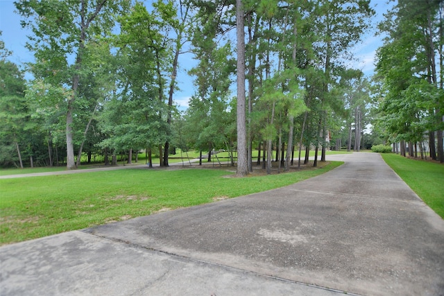 view of community featuring a lawn