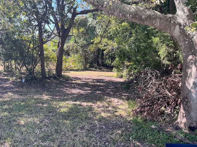 0 Bayou, La Marque TX, 77568 land for sale