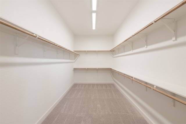 walk in closet featuring carpet floors