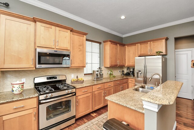 kitchen featuring appliances with stainless steel finishes, an island with sink, sink, hardwood / wood-style flooring, and light stone counters