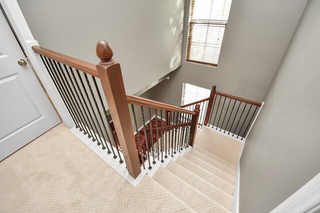 stairs featuring carpet flooring