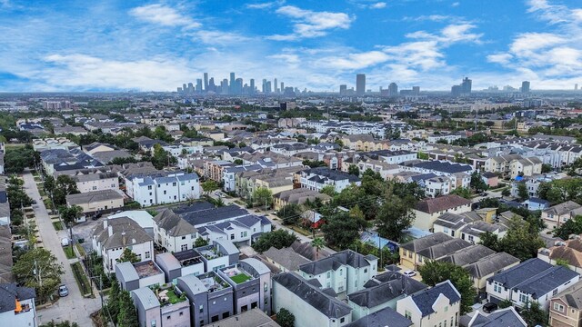 bird's eye view