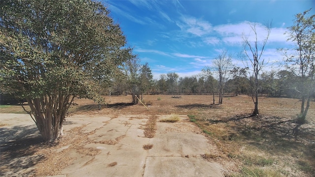 1284 Beaver Lake Dr, Caldwell, TX 77836 - view of yard
