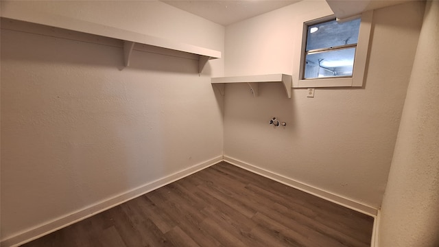 washroom featuring dark hardwood / wood-style floors