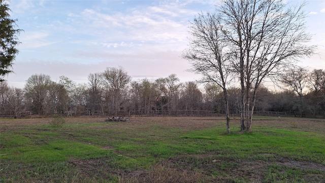 1284 Beaver Lake Dr, Caldwell, TX 77836 - view of yard featuring fence