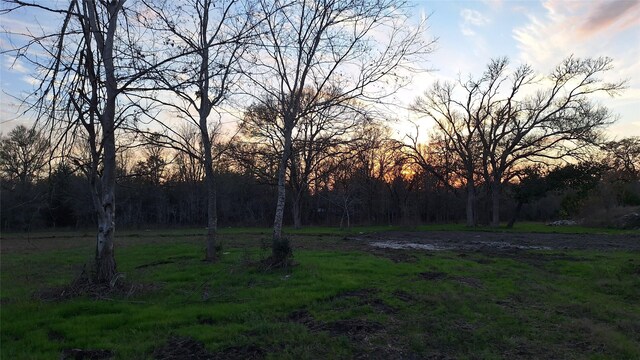 view of yard at dusk