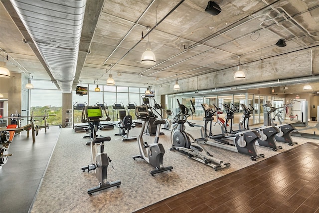 workout area featuring hardwood / wood-style floors and a wall of windows