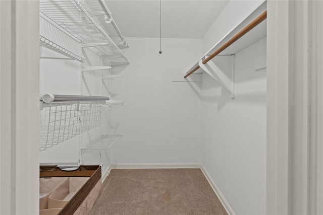 spacious closet with carpet flooring