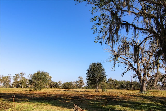 0000 County Road 348, Brazoria TX, 77422 land for sale