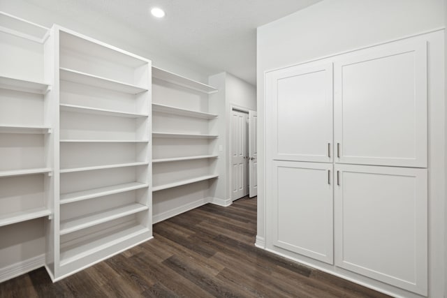 spacious closet featuring dark hardwood / wood-style flooring