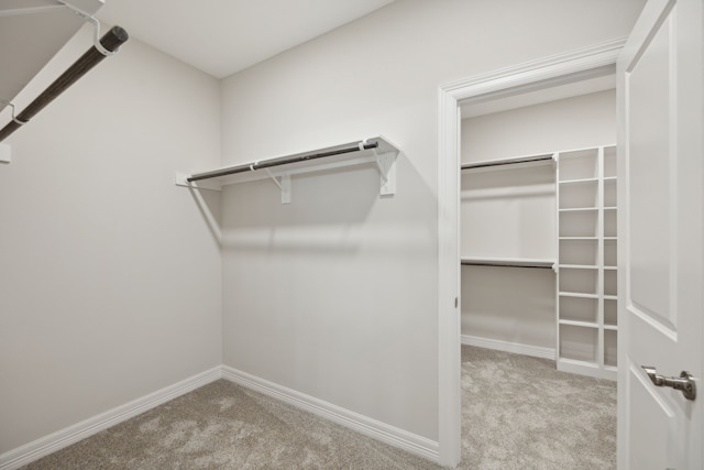 spacious closet with carpet