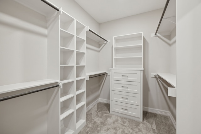 walk in closet featuring light carpet