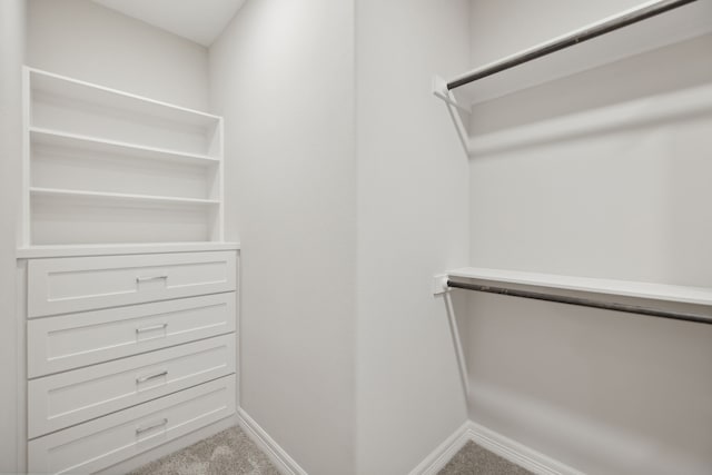 walk in closet with carpet