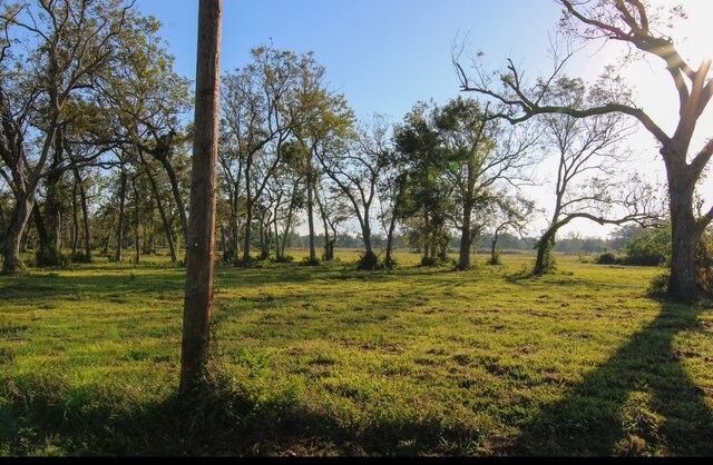 Listing photo 3 for 000 County Road 358, Brazoria TX 77422