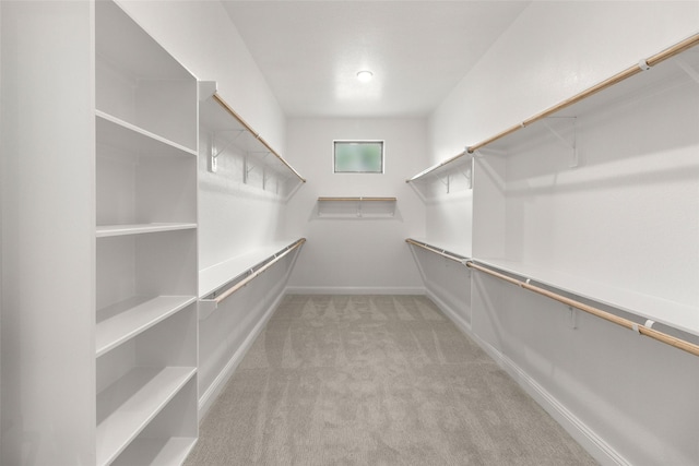 22067 Breakwater Ln, Porter, TX 77365 - spacious closet with light carpet