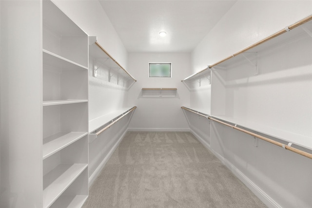 22067 Breakwater Ln, Porter, TX 77365 - walk in closet with light carpet