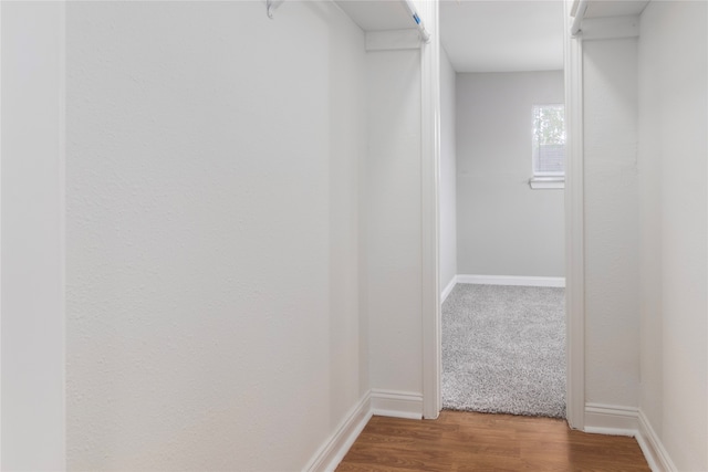 walk in closet with hardwood / wood-style flooring