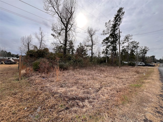 0 Long Dr, Onalaska TX, 77360 land for sale