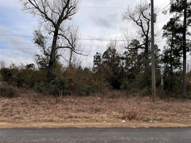 Listing photo 3 for 0 Long Dr, Onalaska TX 77360