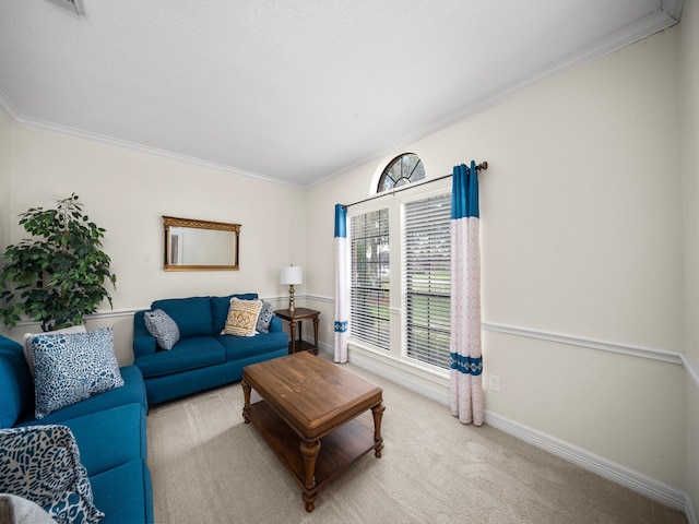 carpeted living room with crown molding and a textured ceiling