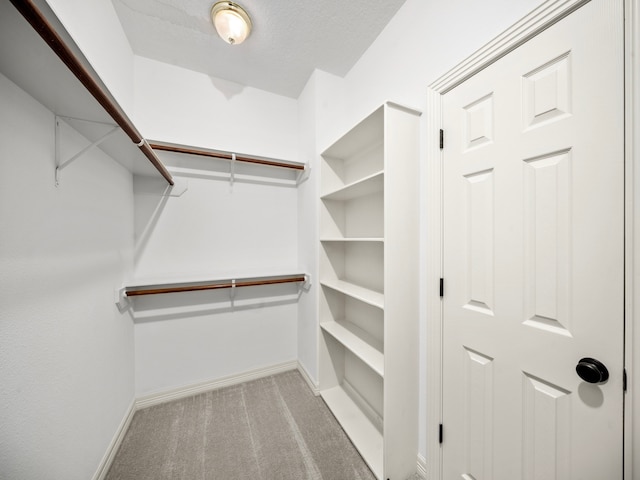 walk in closet featuring light carpet